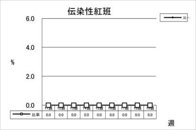 伝染性紅班