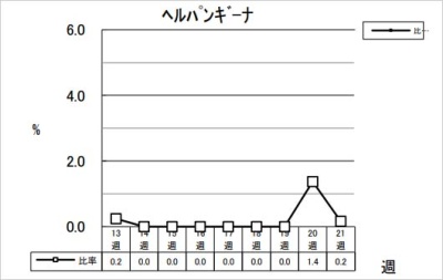 ヘルパンギーナ