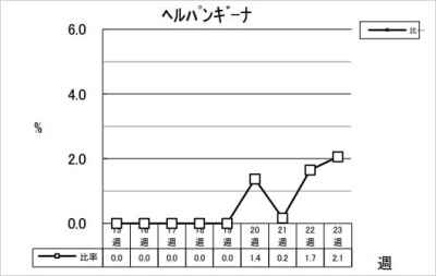 ヘルパンギーナ