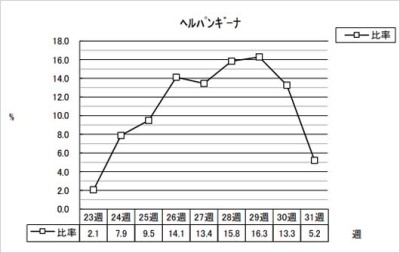 ヘルパンギーナ