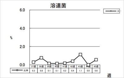 溶連菌