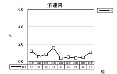 溶連菌