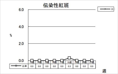 伝染性紅班