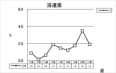 溶連菌