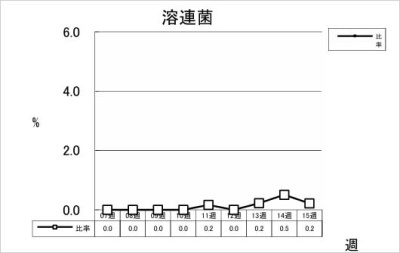 溶連菌