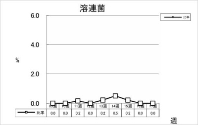 溶連菌