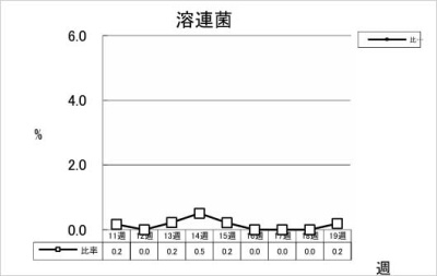 溶連菌
