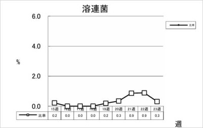 溶連菌