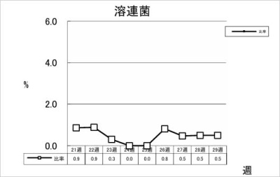 溶連菌