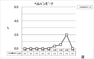 ヘルパンギーナ