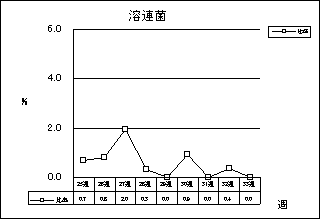 溶連菌