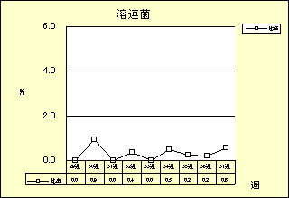 溶連菌